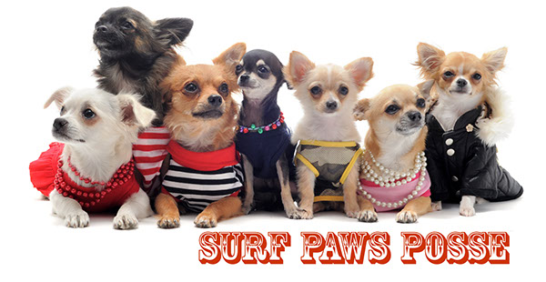 Graphics Design for Surf Paws